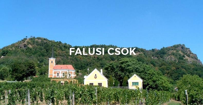 Falusi CSOK