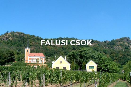 Falusi CSOK